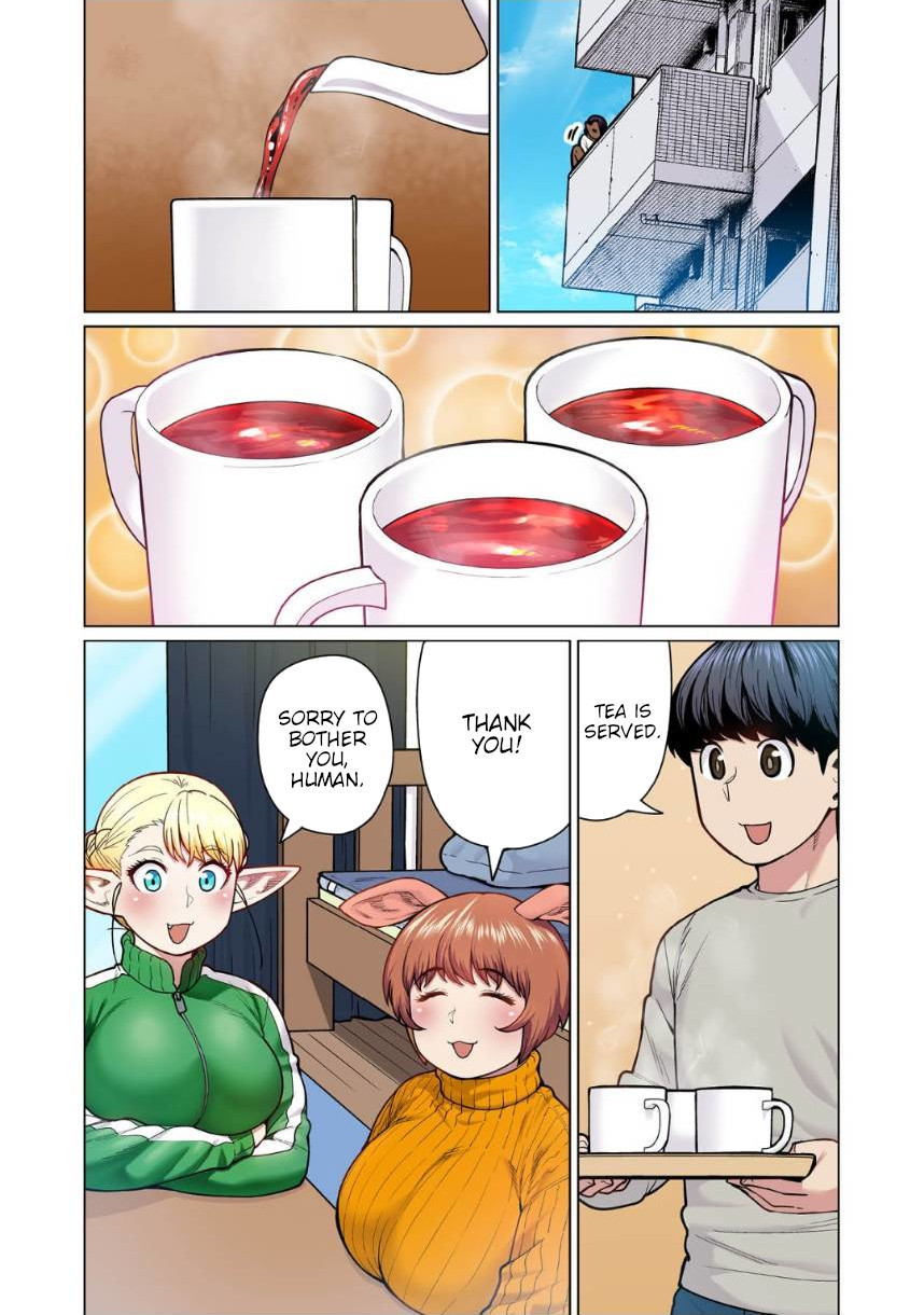 Shin Elf-san wa Yaserarenai. chapter 5 page 2