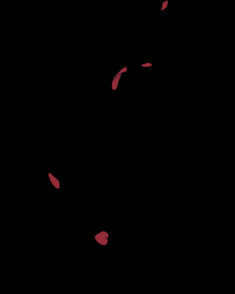 Shotgun Boy chapter 0 page 176