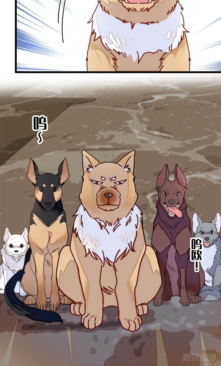 Sijin chapter 218.5 page 13