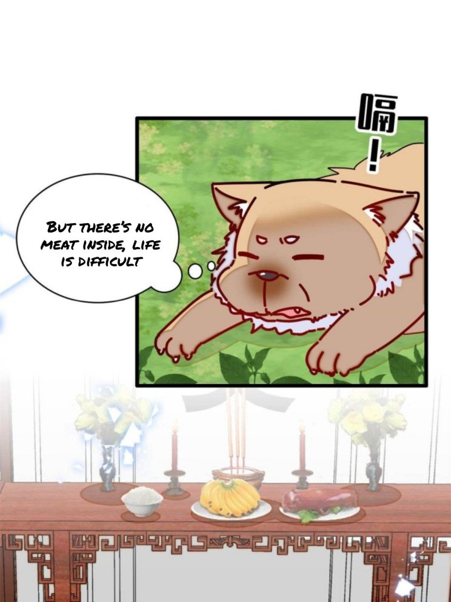 Sijin chapter 231.5 page 13