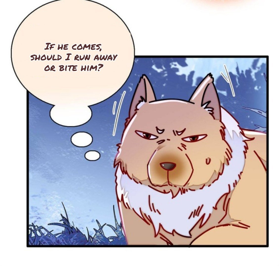 Sijin chapter 234.5 page 12