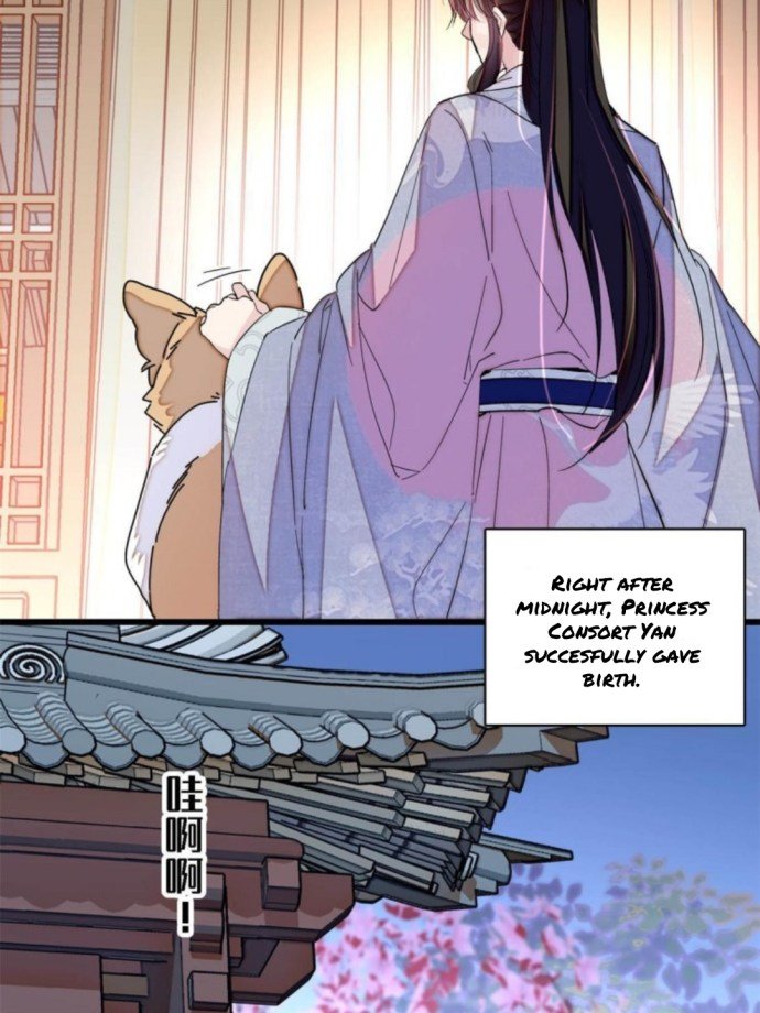 Sijin chapter 236 page 6