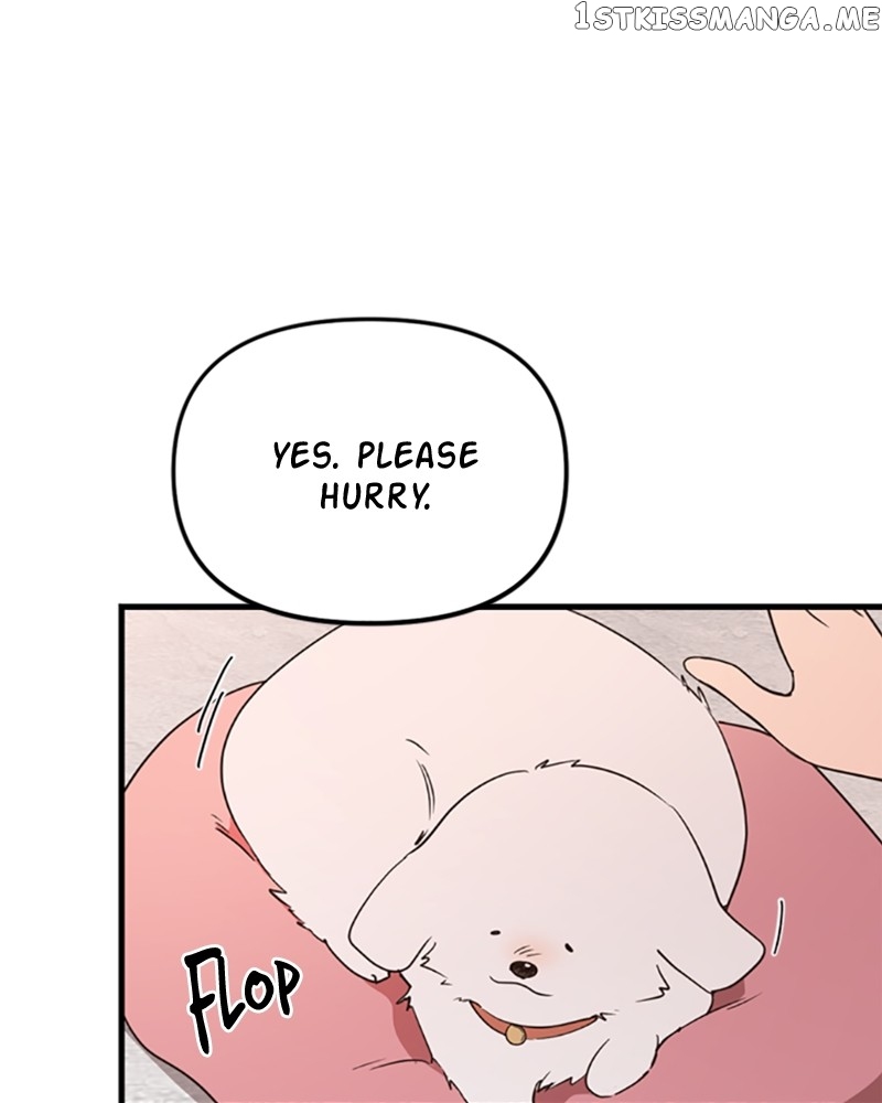 Single Wizard's Dormitory Apartment chapter 13 page 63