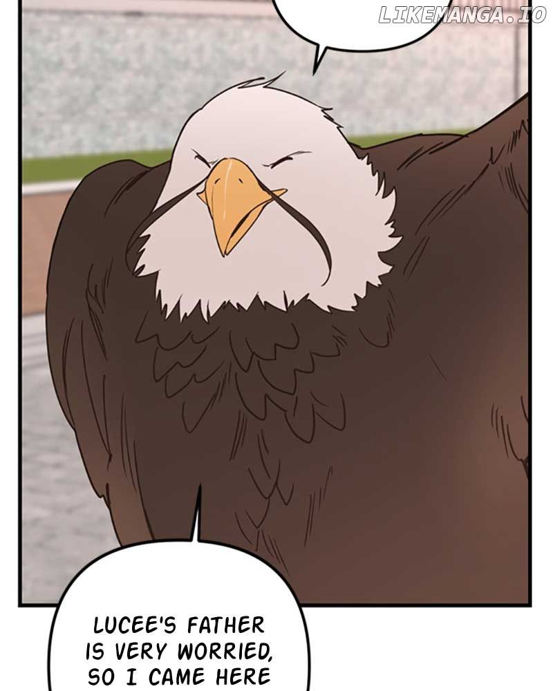 Single Wizard's Dormitory Apartment chapter 55 page 51