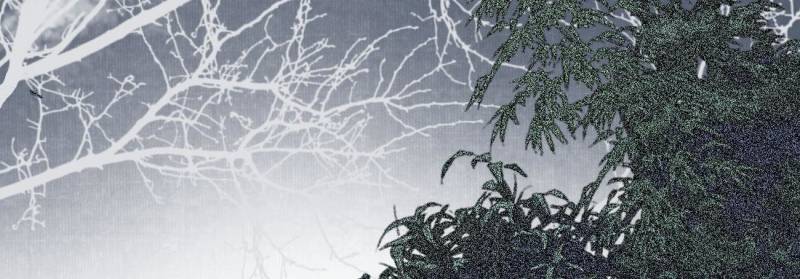 Sir, Don’t Show Off chapter 70 page 25