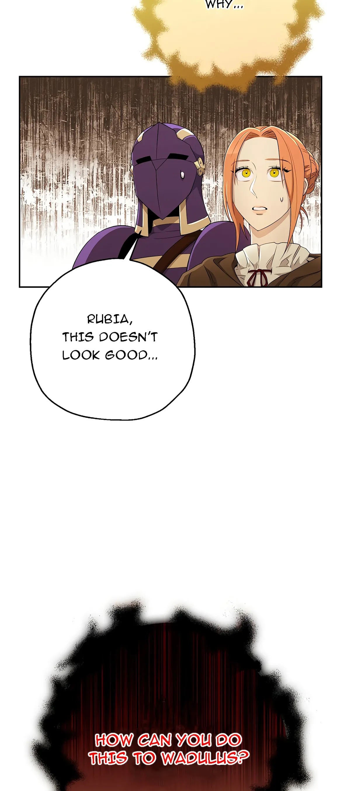 Skeleton Soldier Couldn’t Protect the Dungeon chapter 112 page 77