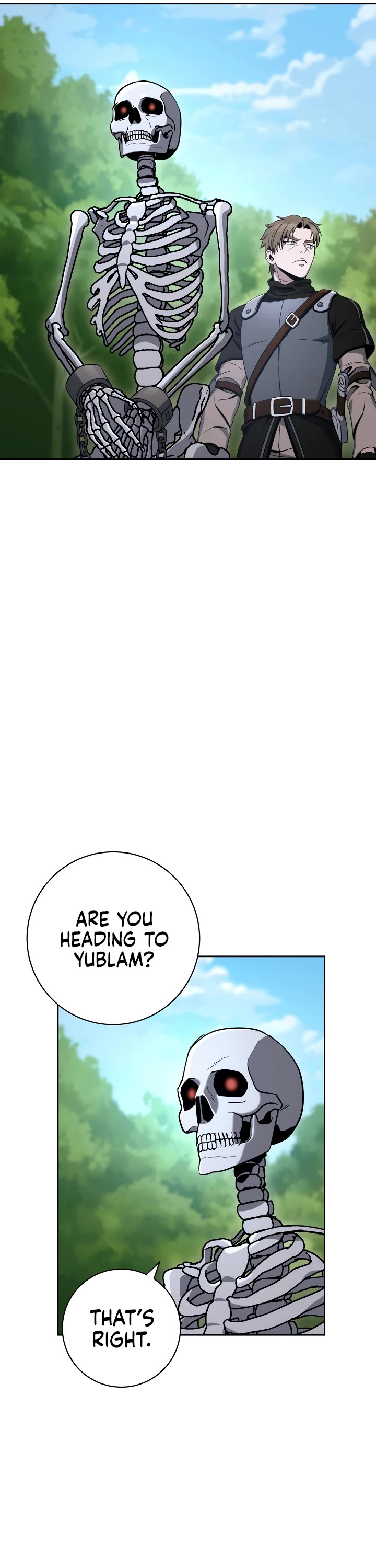 Skeleton Soldier Couldn’t Protect the Dungeon chapter 202 page 45