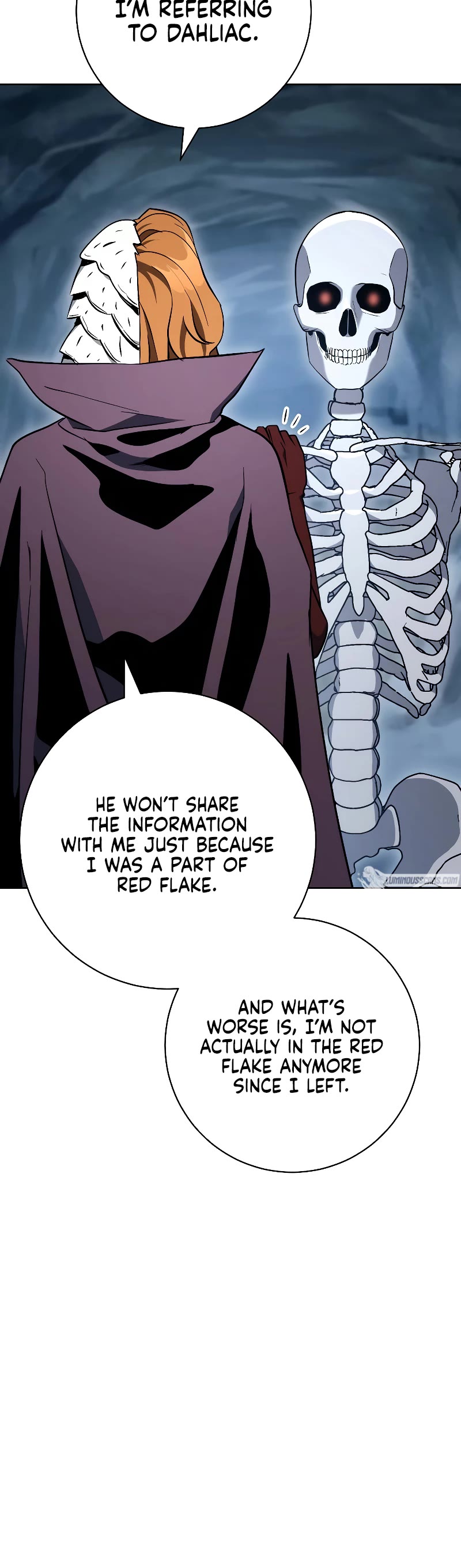 Skeleton Soldier Couldn’t Protect the Dungeon chapter 205 page 25