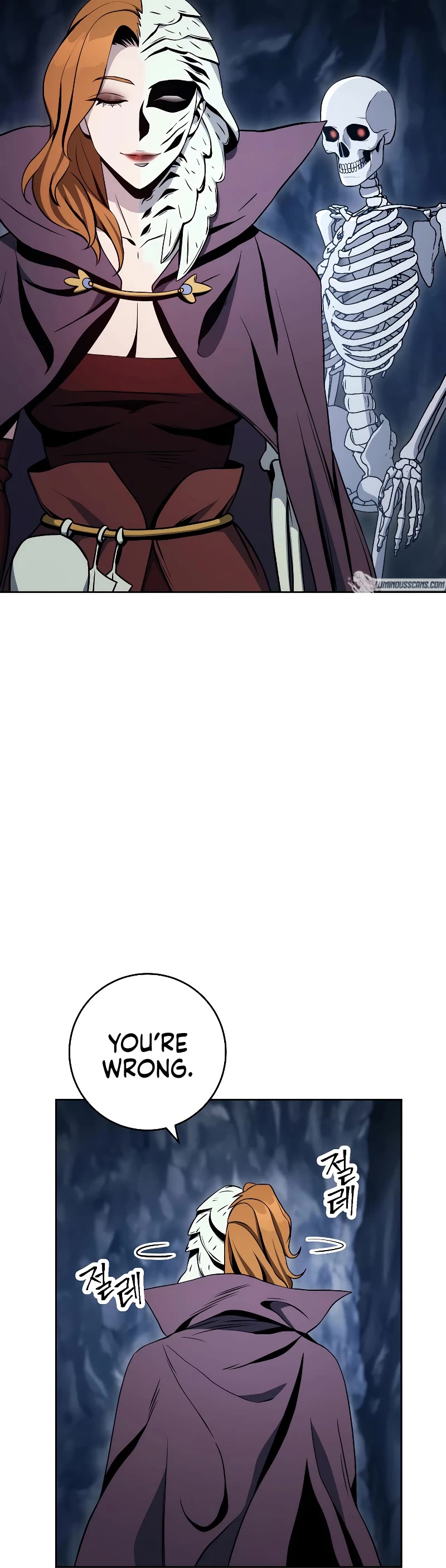 Skeleton Soldier Couldn’t Protect the Dungeon chapter 206 page 25