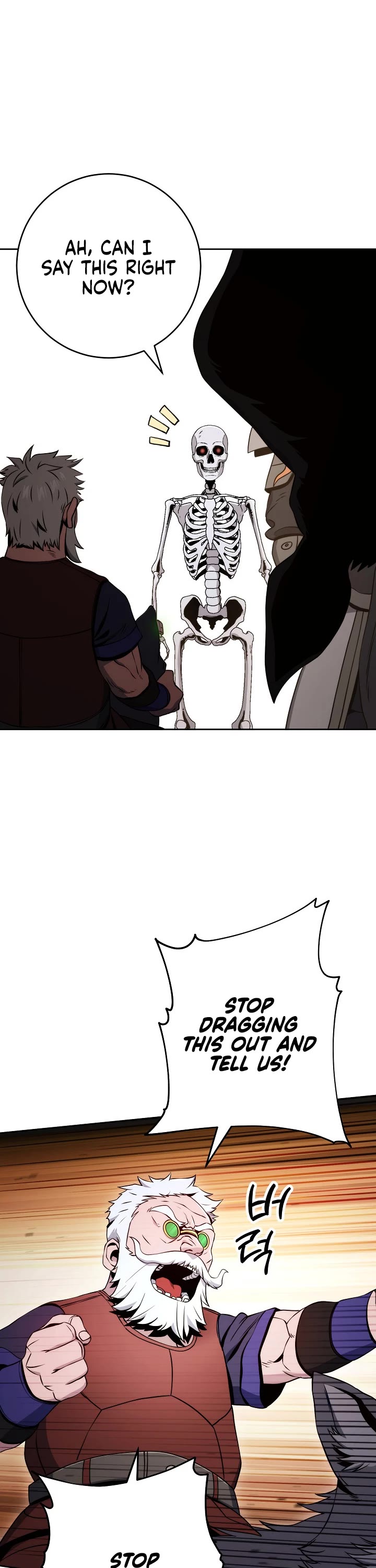 Skeleton Soldier Couldn’t Protect the Dungeon chapter 213 page 17