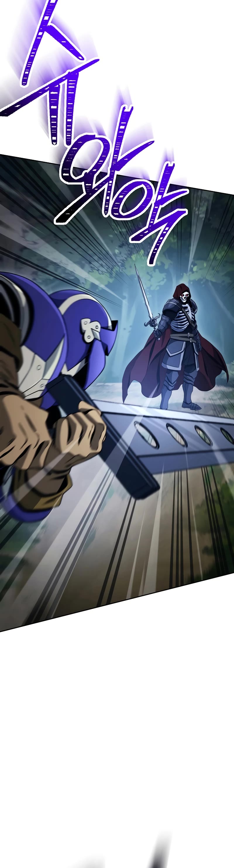 Skeleton Soldier Couldn’t Protect the Dungeon chapter 231 page 11