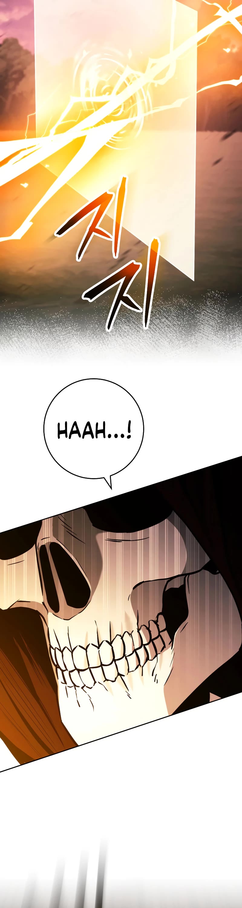 Skeleton Soldier Couldn’t Protect the Dungeon chapter 236 page 48