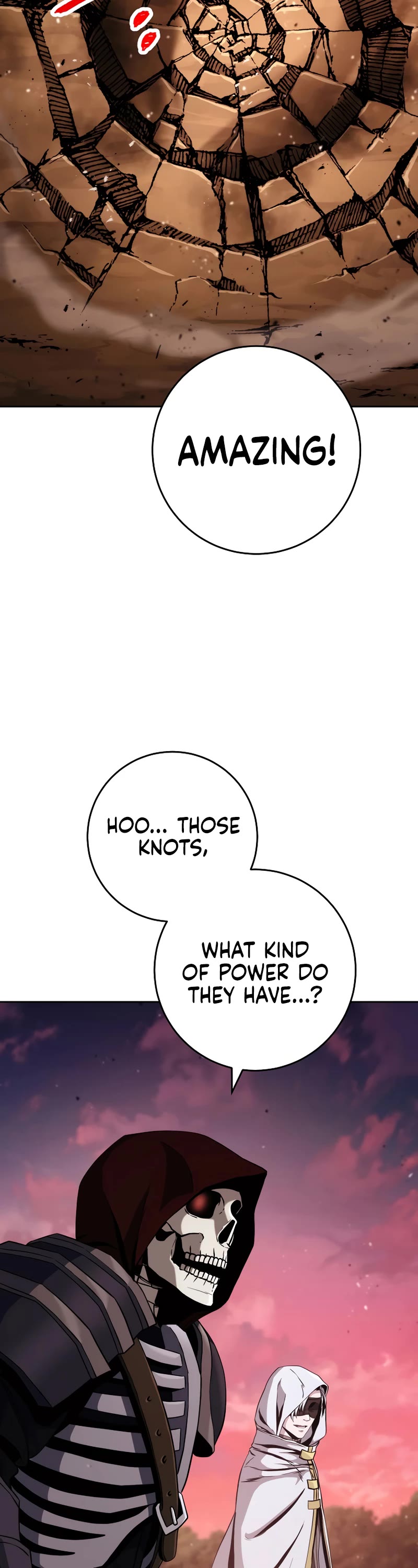 Skeleton Soldier Couldn’t Protect the Dungeon chapter 237 page 14