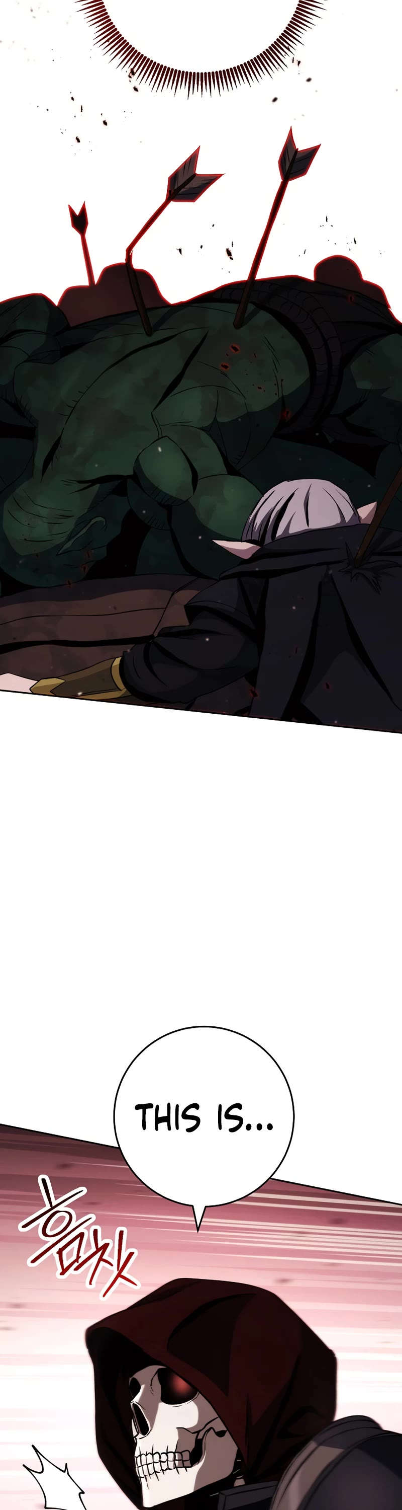 Skeleton Soldier Couldn’t Protect the Dungeon chapter 237 page 47