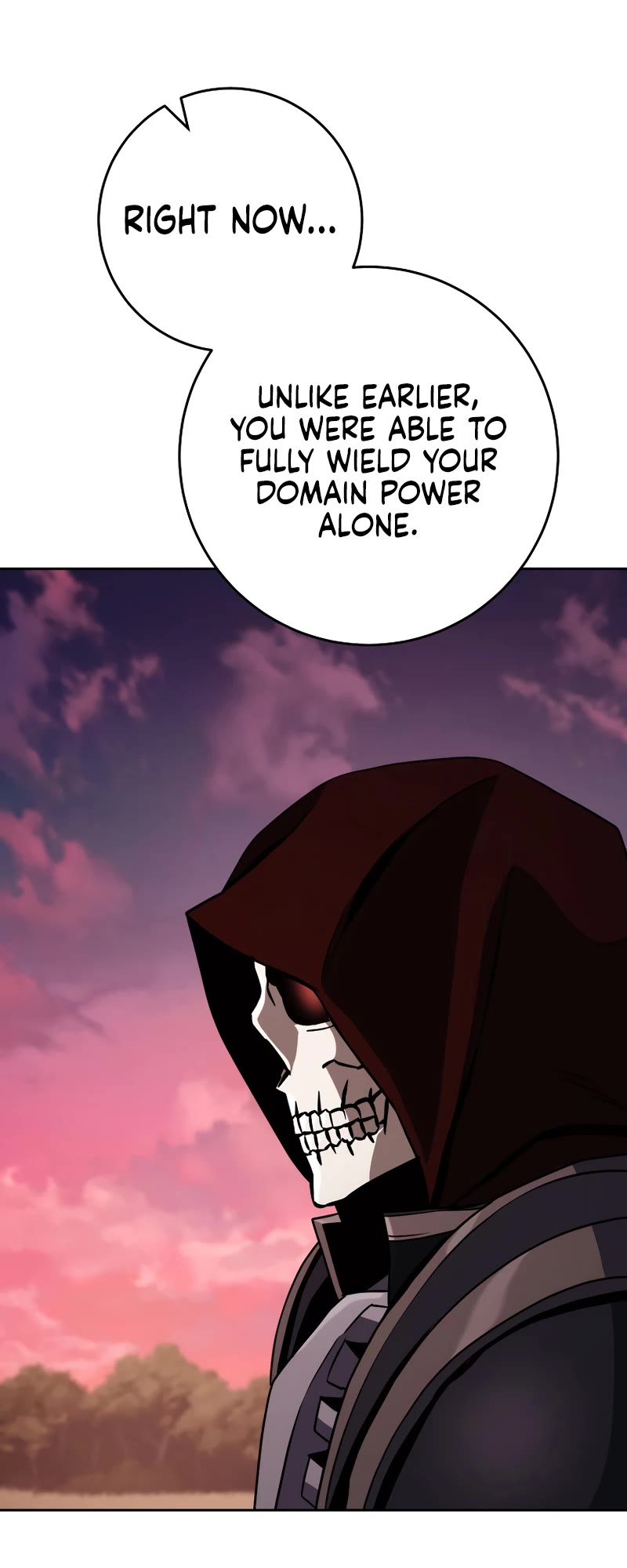 Skeleton Soldier Couldn’t Protect the Dungeon chapter 239 page 49