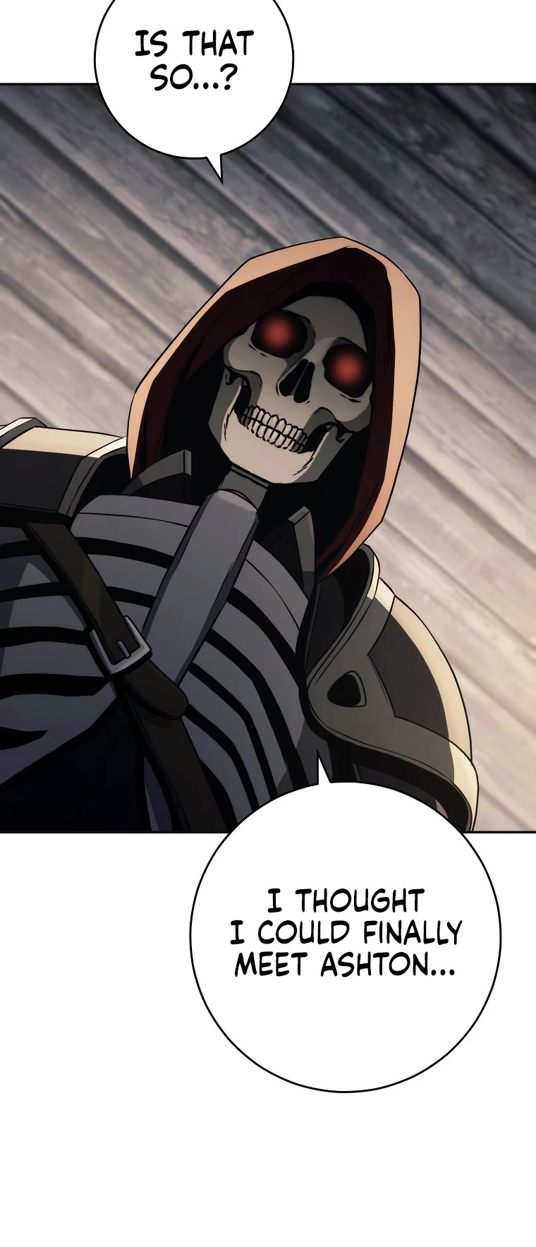 Skeleton Soldier Couldn’t Protect the Dungeon chapter 249 page 17