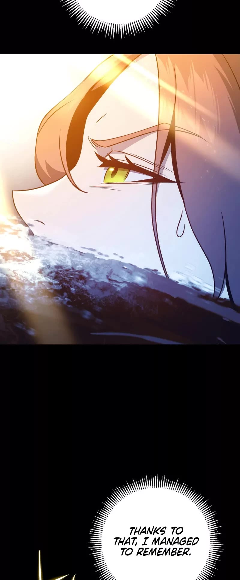 Skeleton Soldier Couldn’t Protect the Dungeon chapter 253 page 47