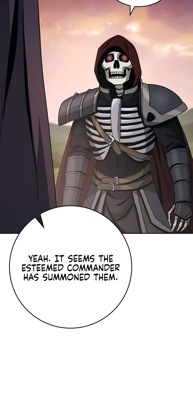 Skeleton Soldier Couldn’t Protect the Dungeon chapter 263 page 25