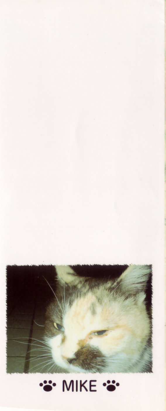 Sketchbook chapter 1 page 4