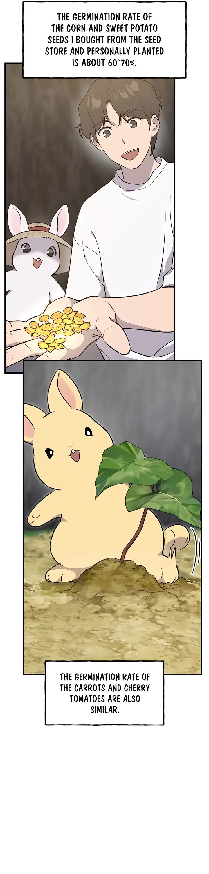 Solo Farming in the Tower chapter 13 page 4