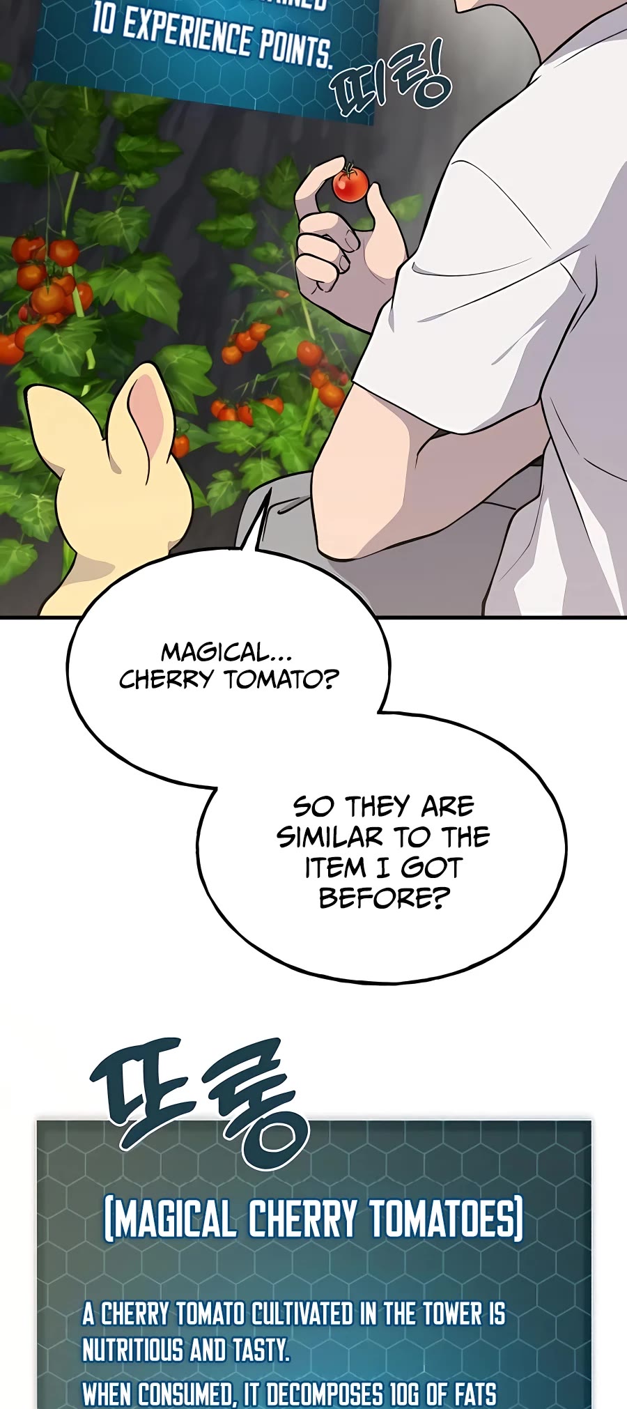 Solo Farming in the Tower chapter 6 page 37