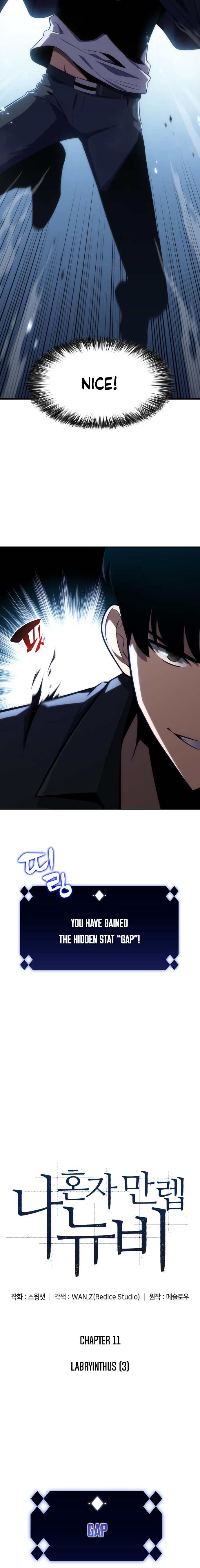 Solo Max-Level Newbie chapter 11 page 3