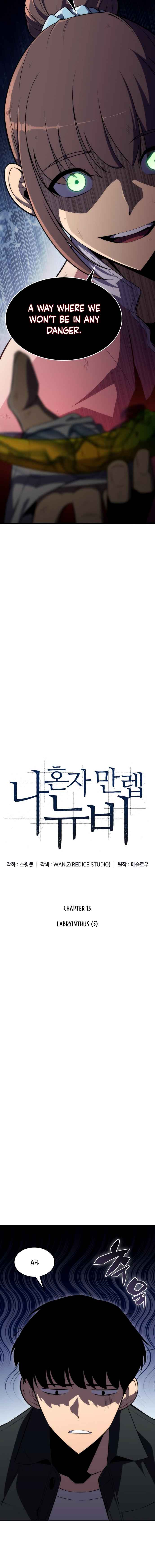 Solo Max-Level Newbie chapter 13 page 4