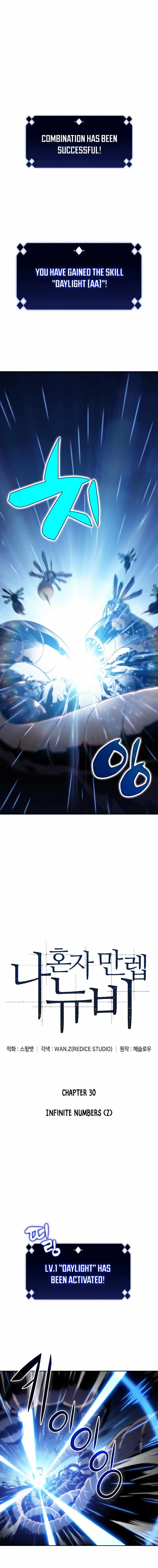 Solo Max-Level Newbie chapter 30 page 2