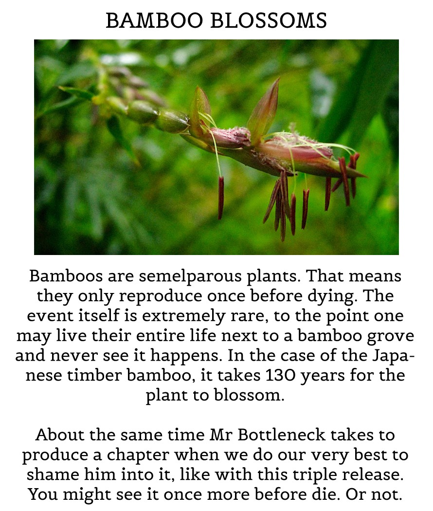 Souboutei Kowasu Beshi chapter 154 page 12