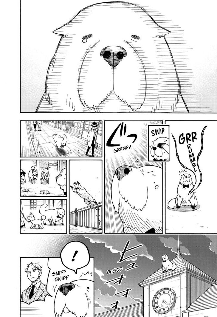 SPY×FAMILY chapter 40 page 13