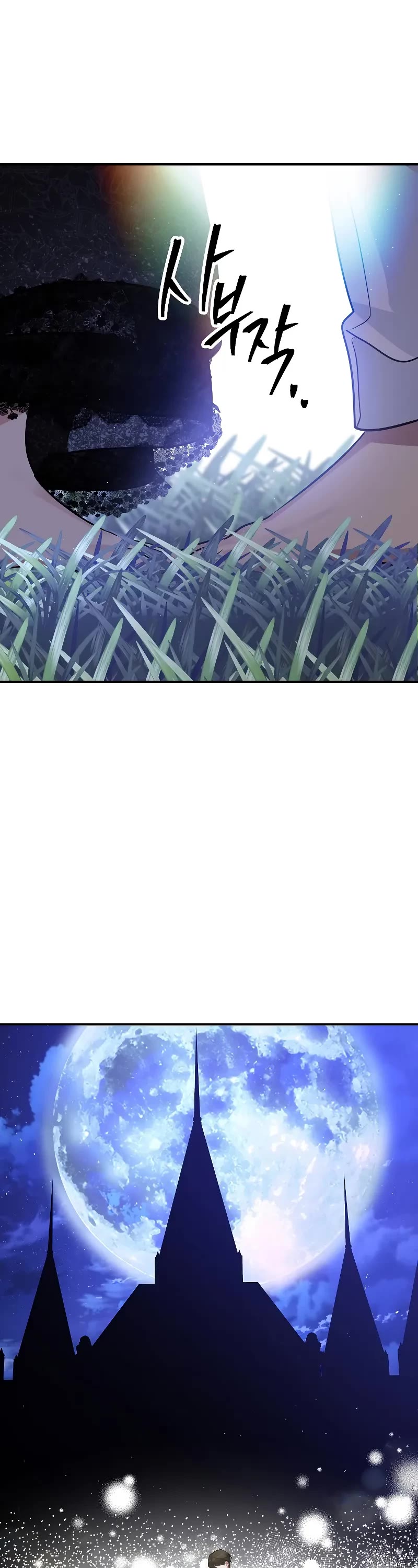 SSS-Class Suicide Hunter chapter 112 page 47