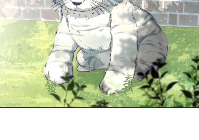 Survival Methods of the Cannon Fodder Daughter chapter 2 page 47