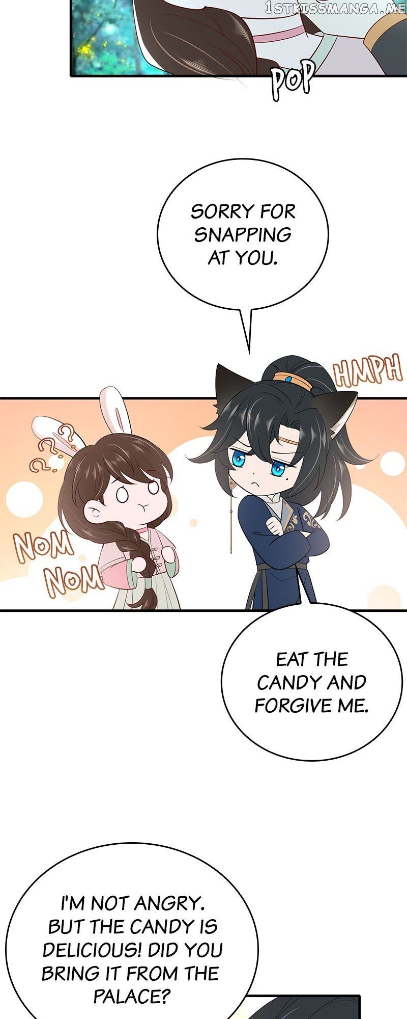 Survival Methods of the Cannon Fodder Daughter chapter 71 page 12