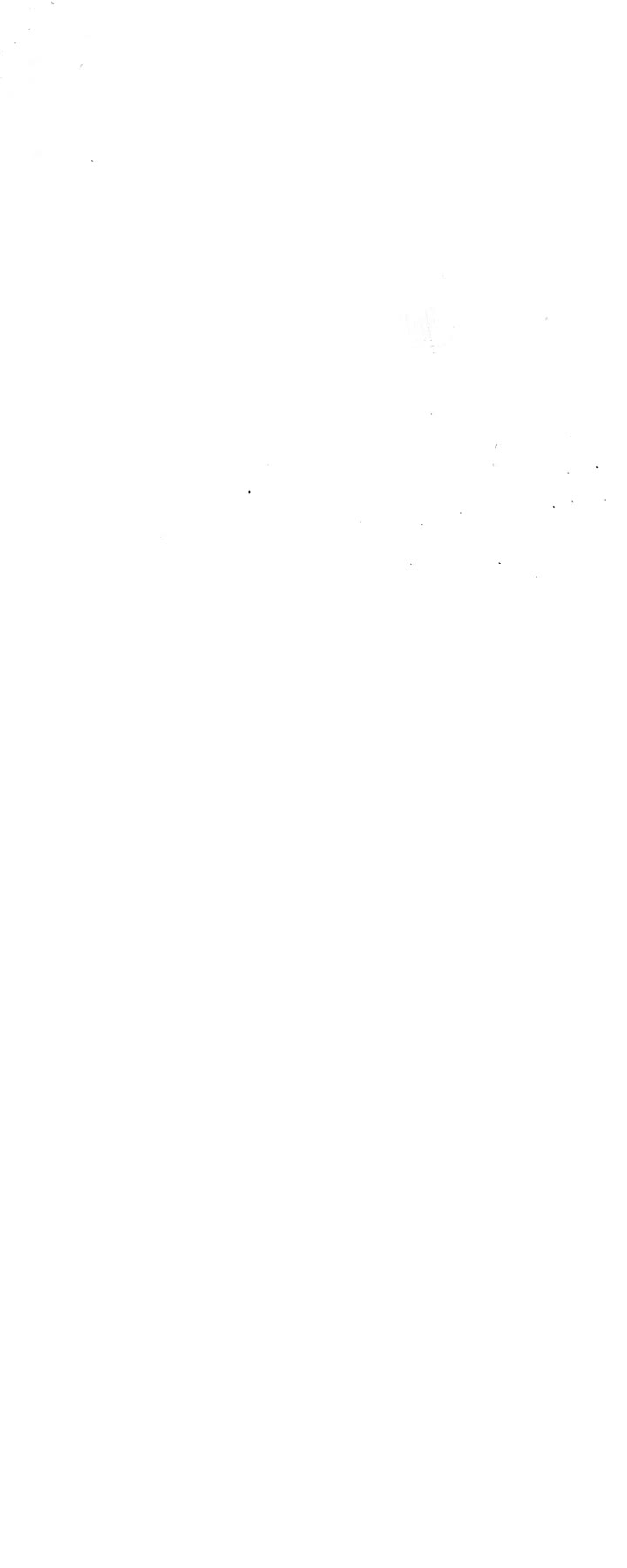 Survival Story of a Sword King in a Fantasy World chapter 235 page 55