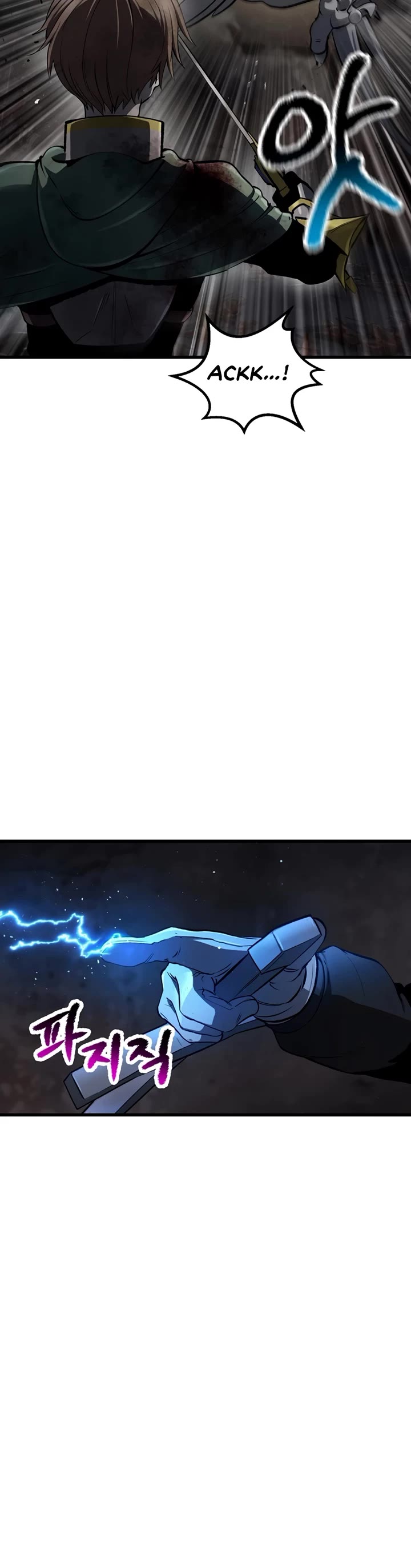 Survival Story of a Sword King in a Fantasy World chapter 249 page 14