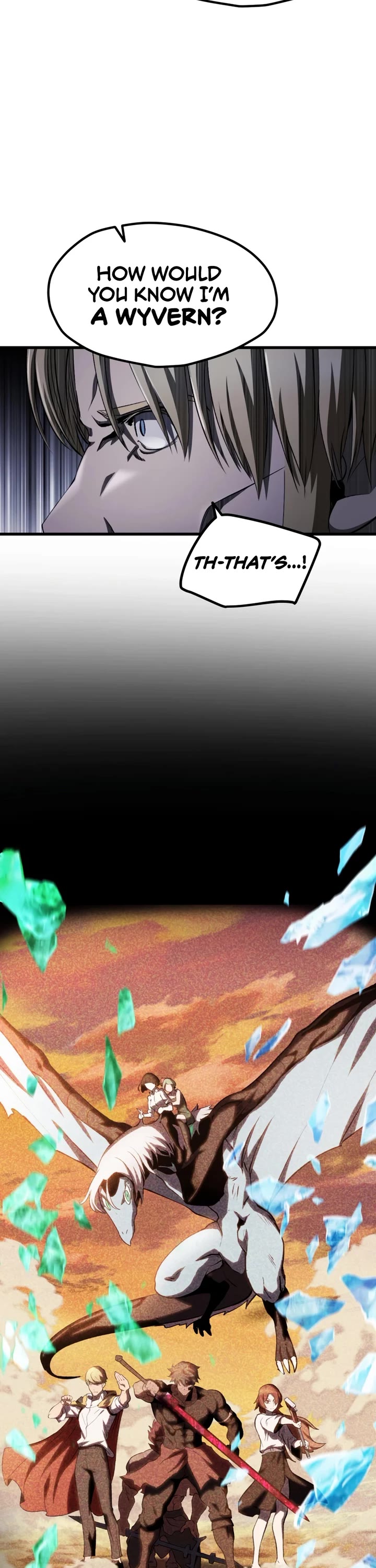 Survival Story of a Sword King in a Fantasy World chapter 255 page 17