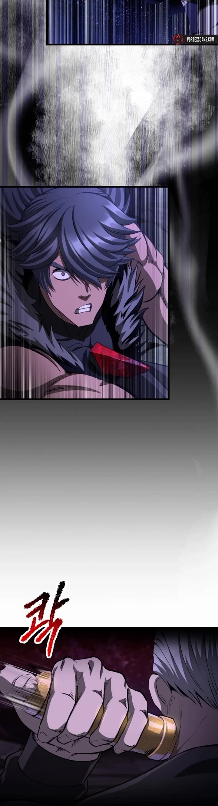 Survival Story of a Sword King in a Fantasy World chapter 266 page 4