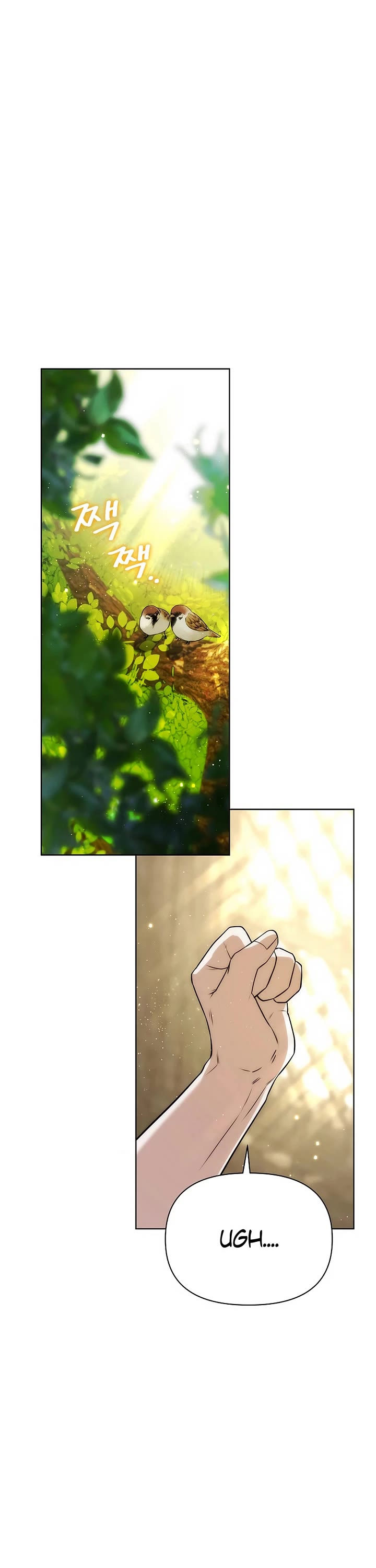 Surviving as a Barbarian in a Fantasy World chapter 17 page 13