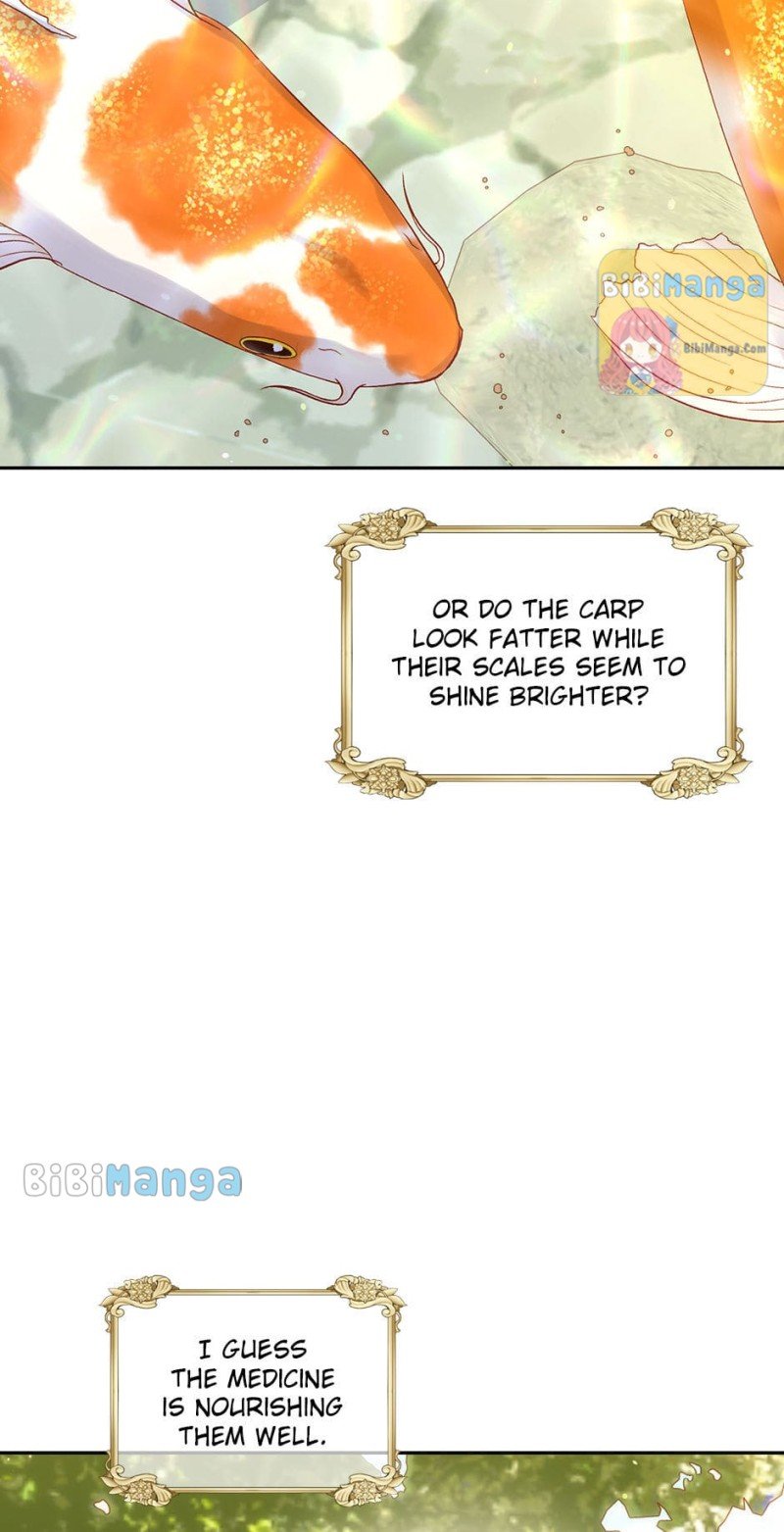 Surviving As A Maid chapter 73 page 47