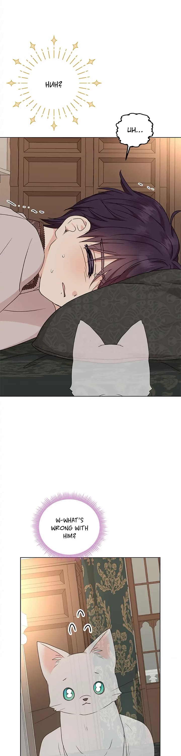 Surviving as an Illegitimate Princess chapter 45 page 17