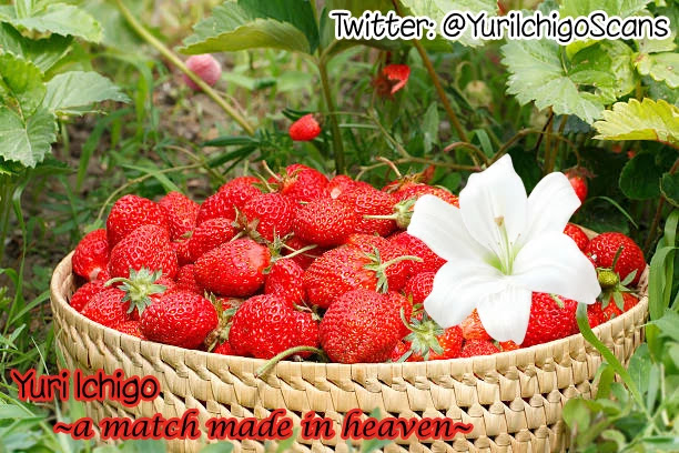 Tadokoro-san chapter 64 page 5