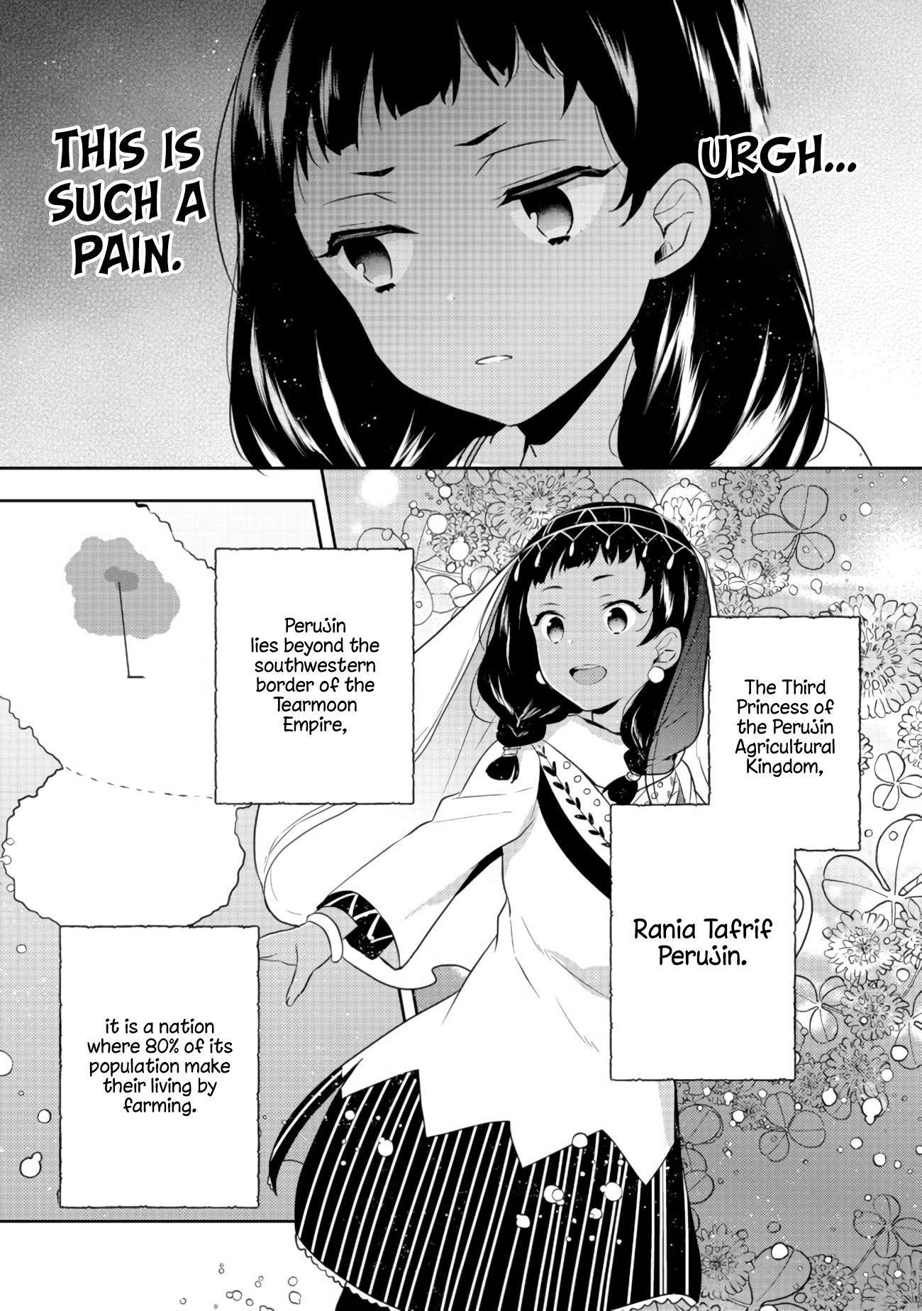 Tearmoon Teikoku Monogatari ~Dantoudai kara Hajimaru, Hime no Tensei Gyakuten Story~ chapter 13 page 9