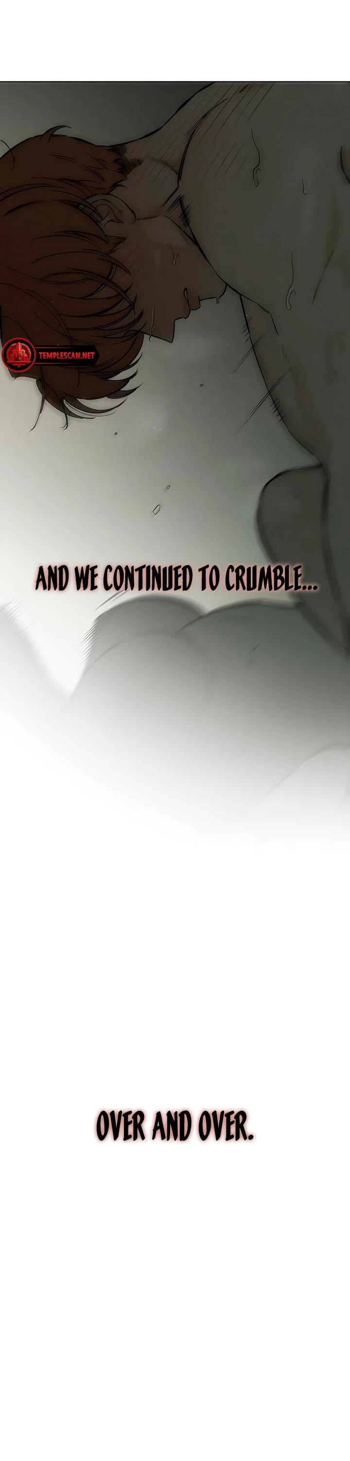 Tears on a Withered Flower chapter 17 page 13