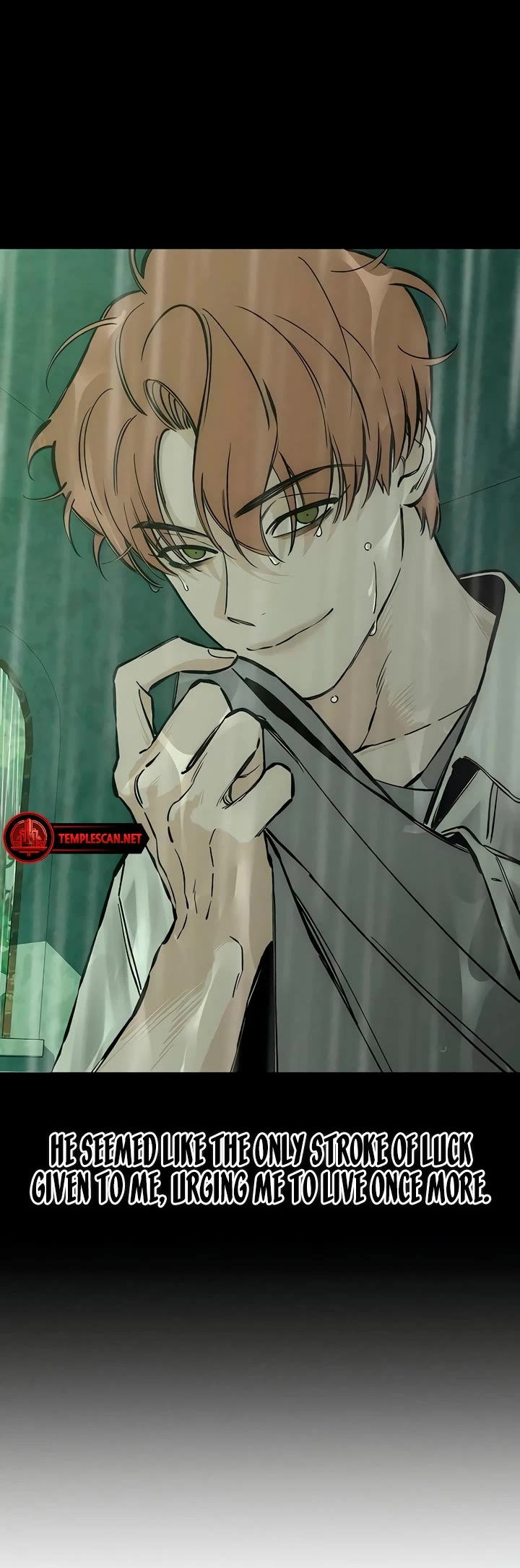 Tears on a Withered Flower chapter 20 page 9