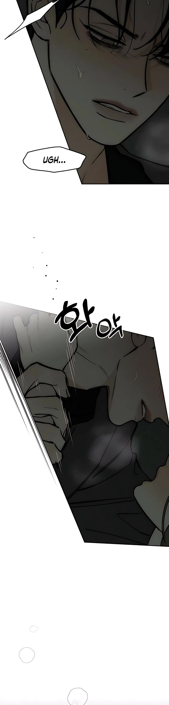 Tears on a Withered Flower chapter 64 page 28