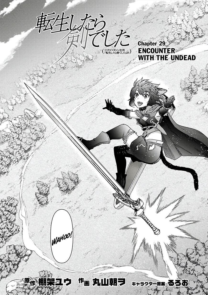 Tensei Shitara Ken deshita chapter 29 page 2