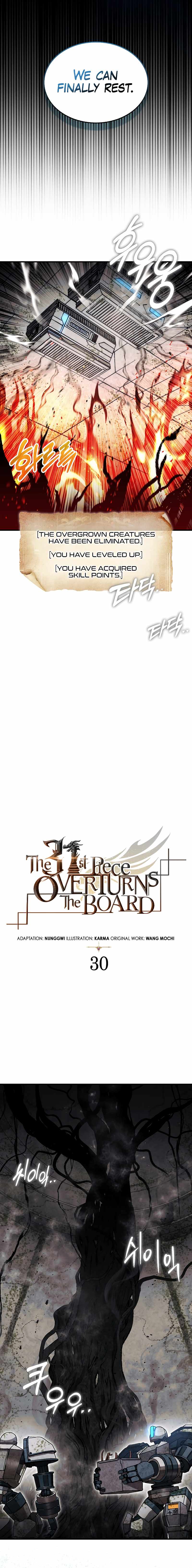 The 31st Piece Overturns the Board chapter 30 page 9