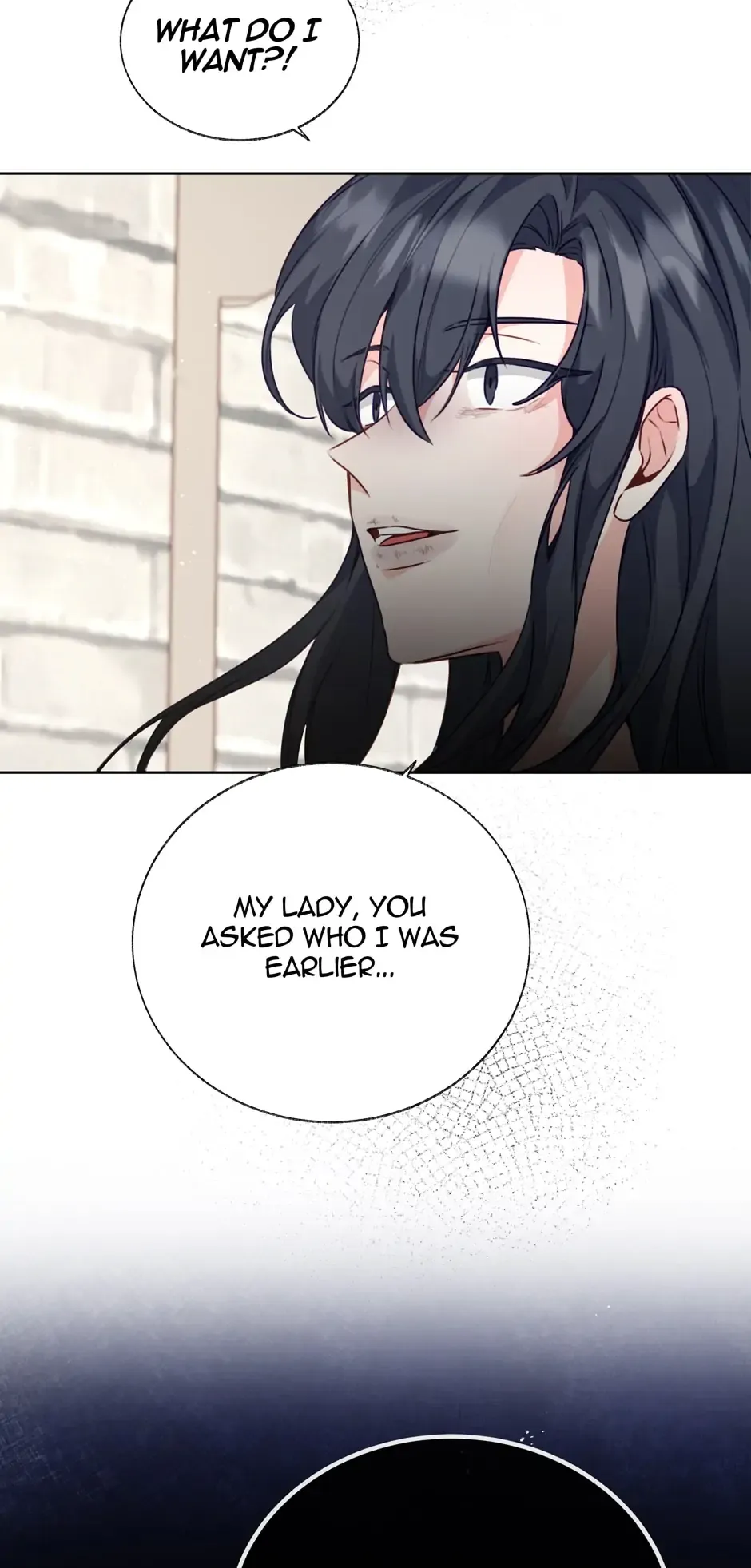 The Abduction of Mademoiselle chapter 29 page 33