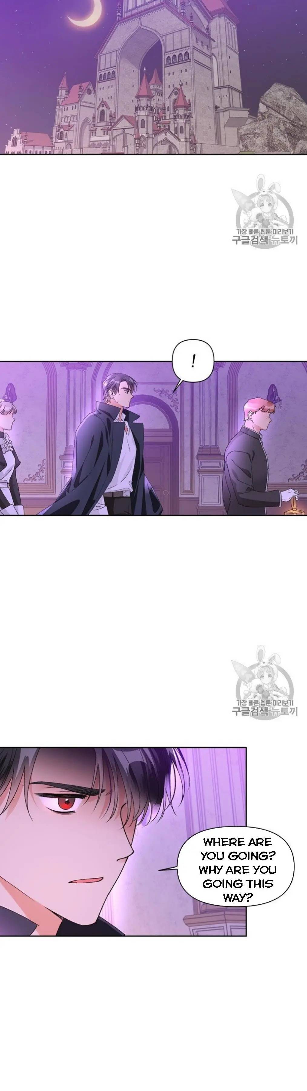 The Abduction of Mademoiselle chapter 40 page 14