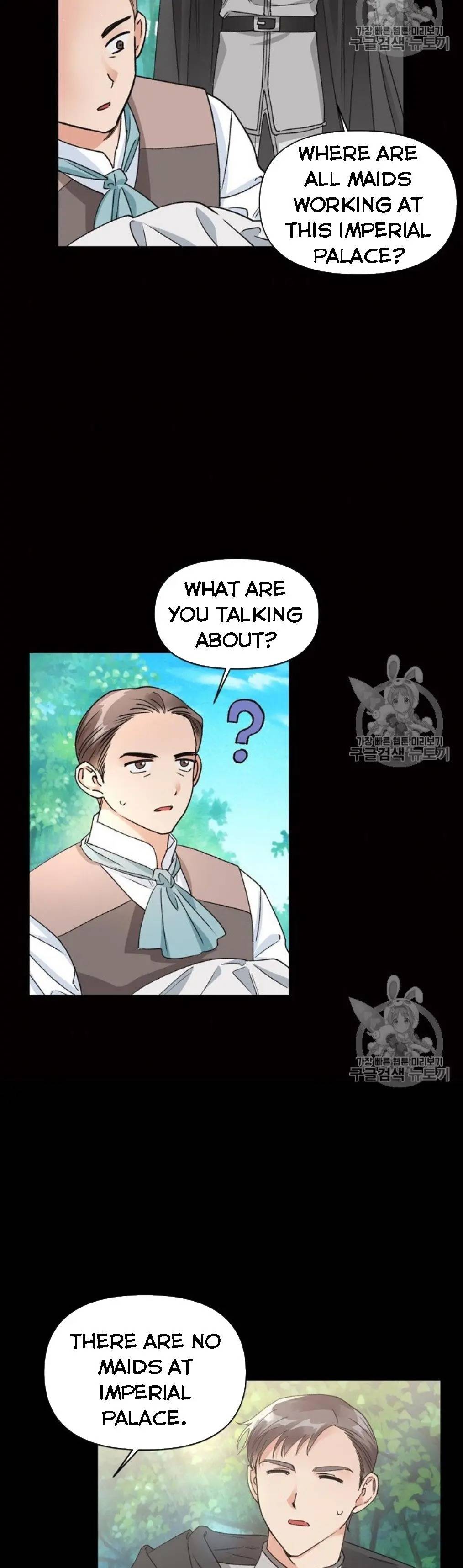 The Abduction of Mademoiselle chapter 40 page 5